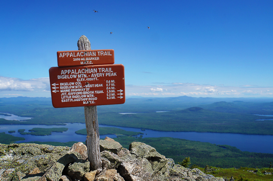 summit sign photo mount bigelow avery peak